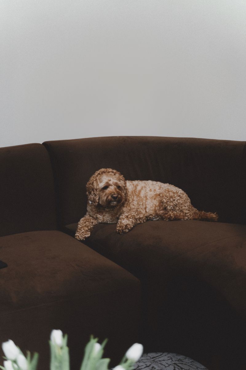 A calm moment in the studio lounge.